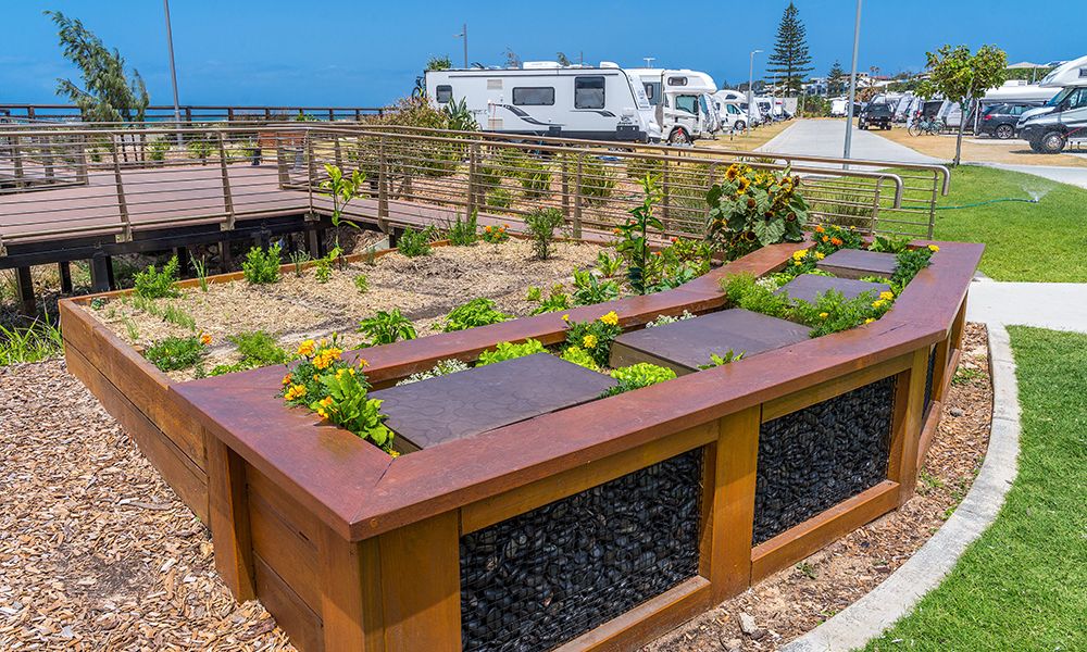 Article image for The worm turns at Kingscliff Beach