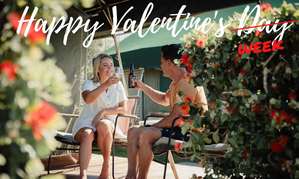Article image for Not another rose this Valentines Day