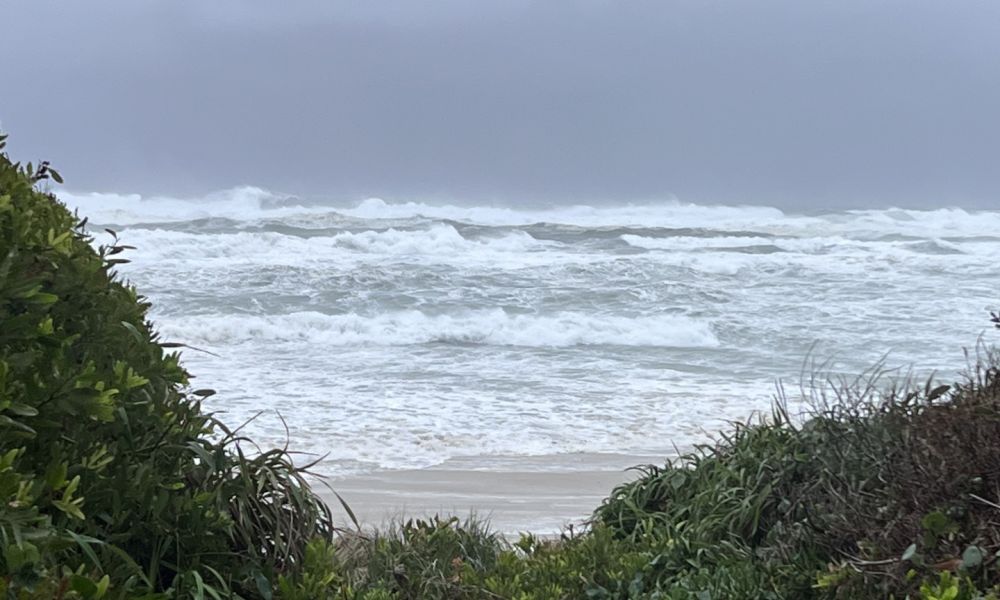 Article image for Tropical Cyclone Alfred