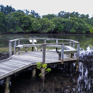 Boardwalk 2