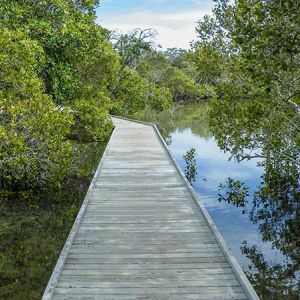 Boardwalk