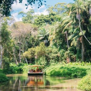 Tropical Fruit World