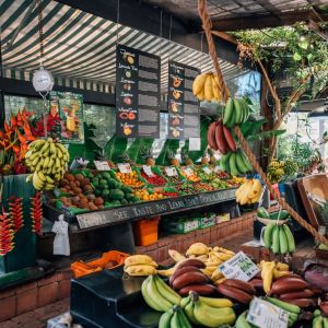 Tropical Fruit World