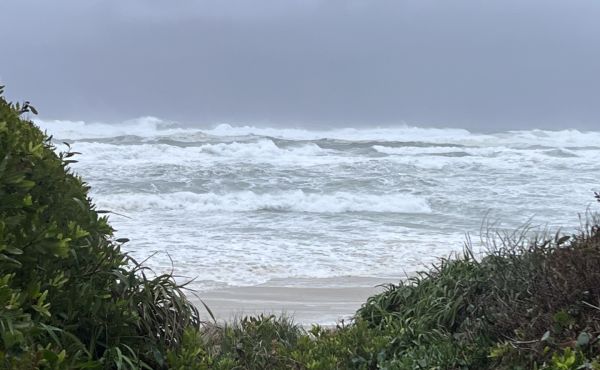 Read more about Tropical Cyclone Alfred