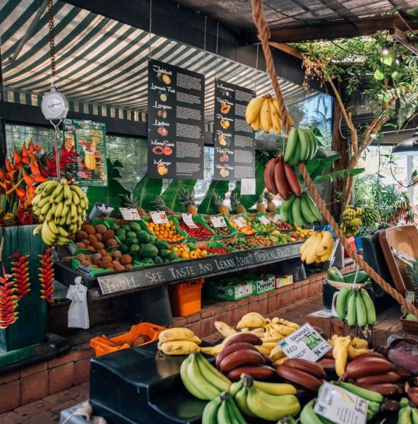 Tweed Holiday Parks | Tropical Fruit World