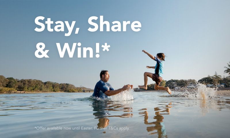 Stay, Share & Win