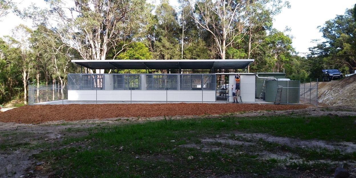 Tweed Coast Koala Research Hub