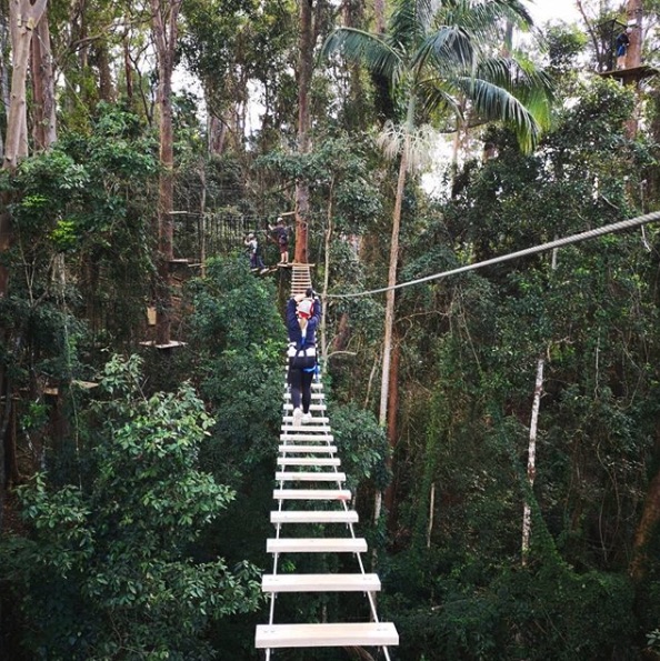 Tree Top Challenge