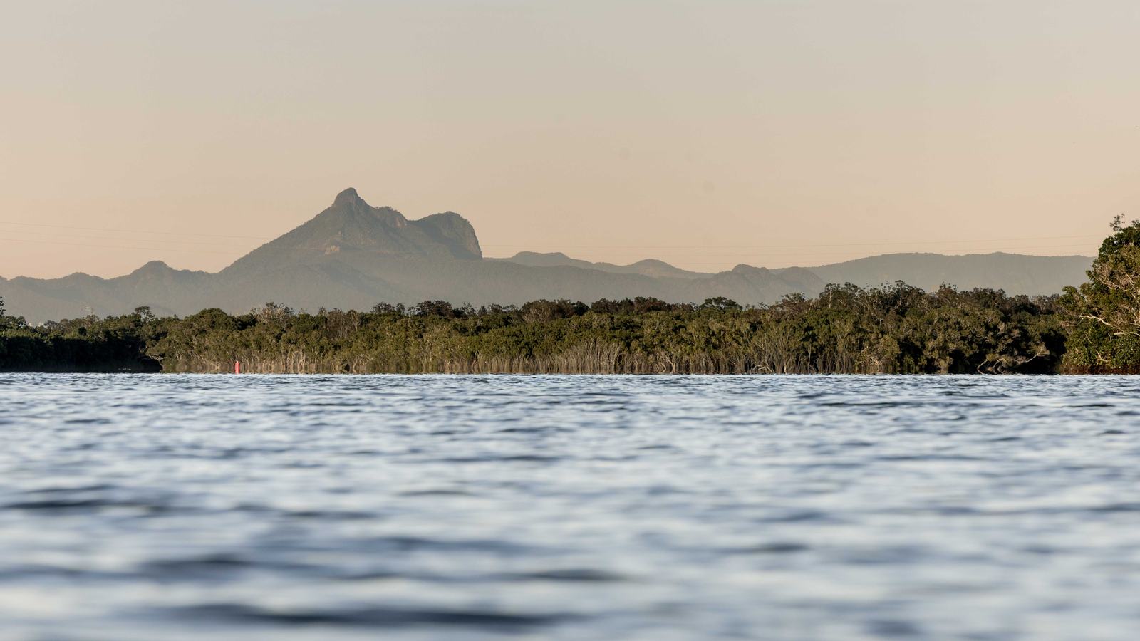 Wollumbin rising behind the treeline across still water at dawn