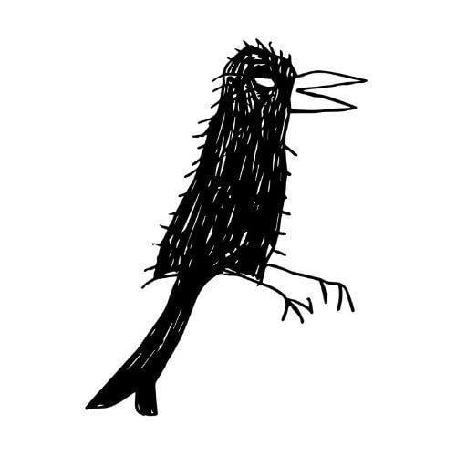 Spangled Drongo 3