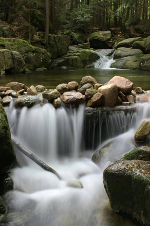 pexels-jmleczek-1166847